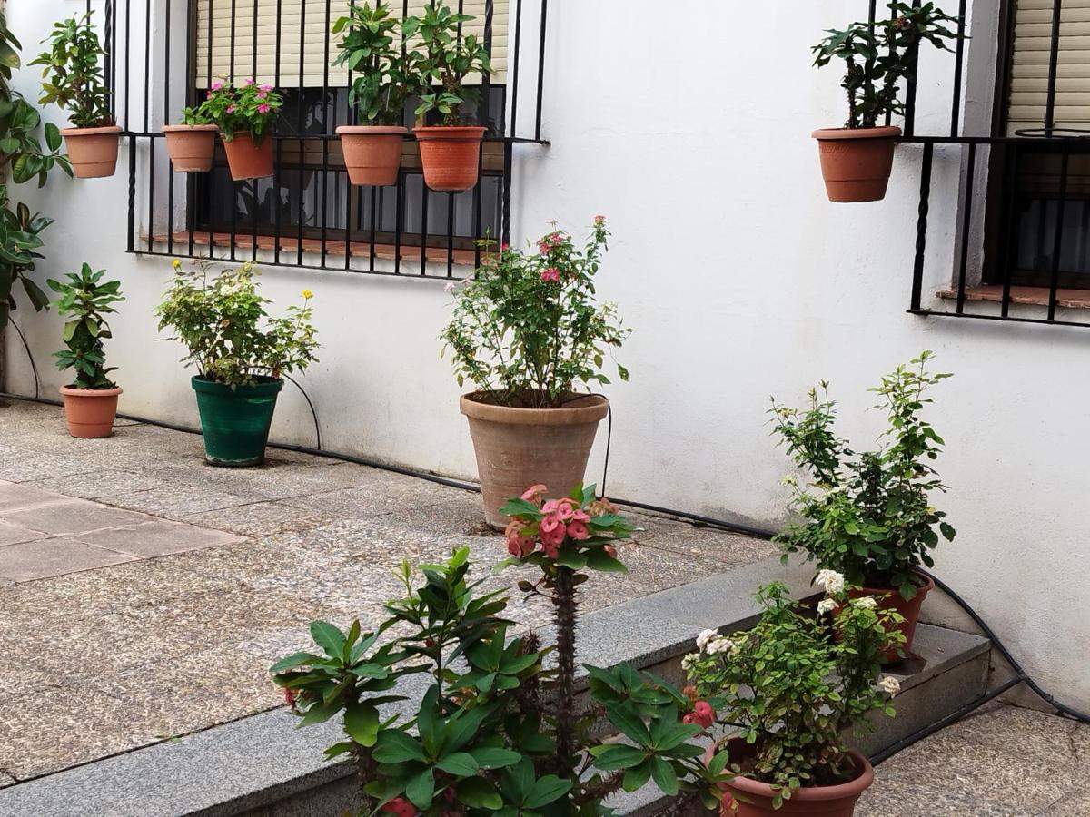 El Balcon De San Pablo Apartment กอร์โดบา ภายนอก รูปภาพ